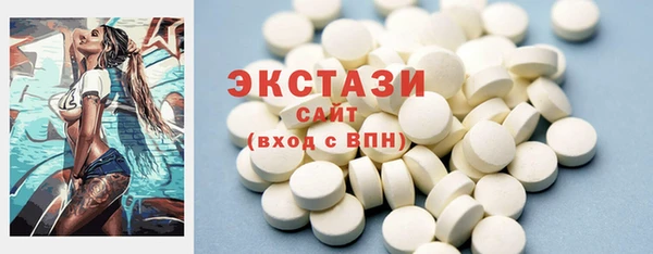 хмурый Инта