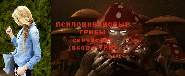 2c-b Иннополис