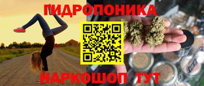 крисы Заводоуковск