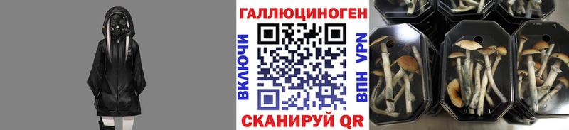 маркетплейс Telegram  сколько стоит  Нижний Новгород  Псилоцибиновые грибы GOLDEN TEACHER  мега ТОР 