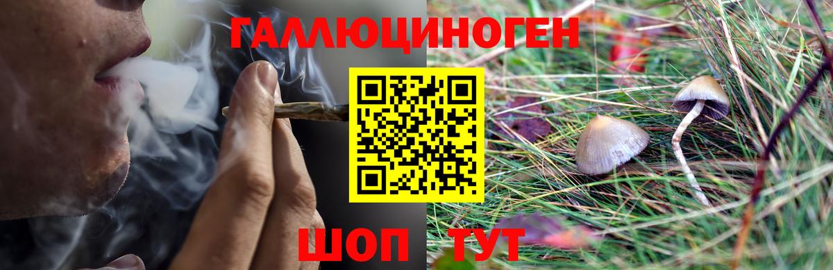 Галлюциногенные грибы ЛСД  Вход с VPN  Галлюциногенные грибы ЛСД  Нижний Новгород 